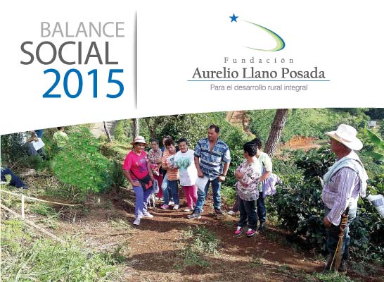 Balance Oficial 2015 Fundación Aurelio Llano Posada